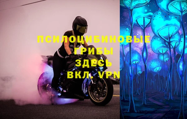 стафф Абдулино