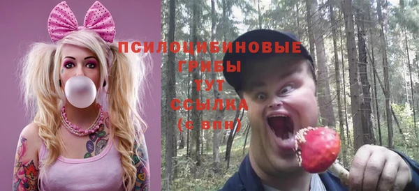 PSILOCYBIN Абинск